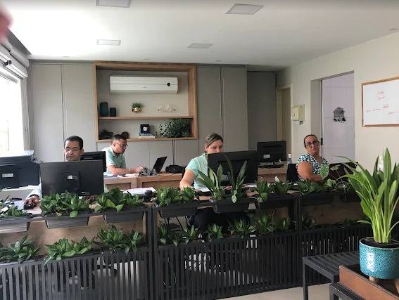 Os nove profissionais da Villa Boa Contabilidade trabalhando no escritório